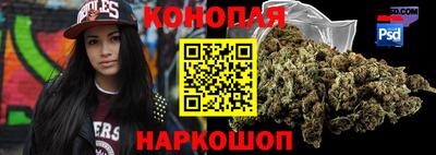 соль ск Будённовск