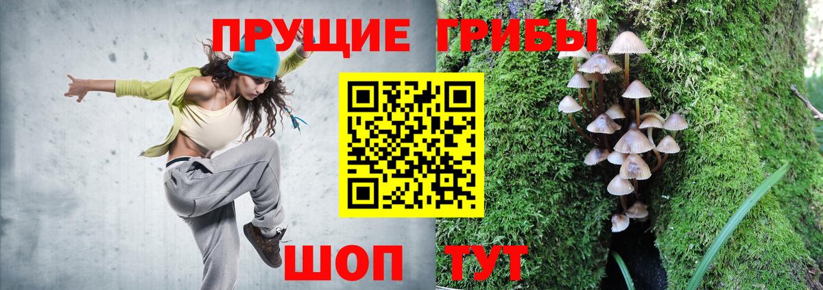 Псилоцибиновые грибы ЛСД Советск
