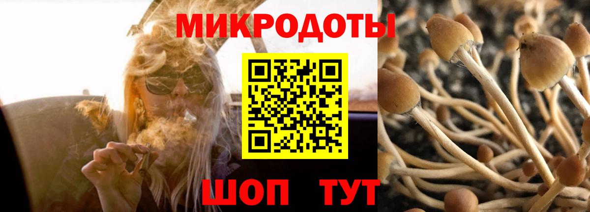 Псилоцибиновые грибы ЛСД  Вход с VPN  Советск 